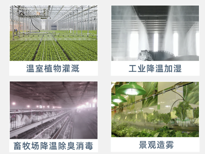 1703747319196806.png 1703747319196806.png